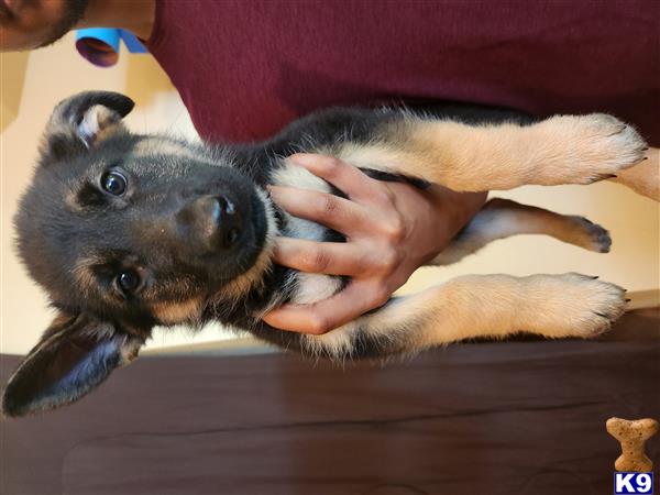 AlissaY Picture 1